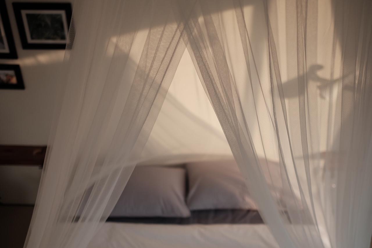 Mountscene At Cervidae Bed & Breakfast เชียงใหม่ ภายนอก รูปภาพ